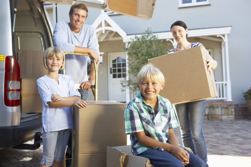 Professional van transport for boxes and household items in Sidcup